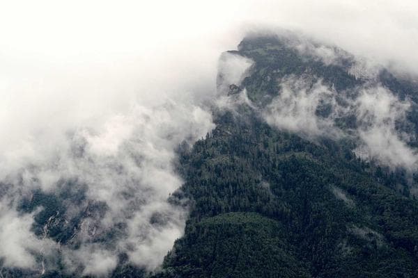 Port Agency Services